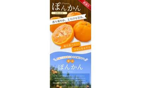 【訳あり】手選別 ぽんかん 約6kg 和歌山県産 2S~2Lサイズ混合※2026年1月上旬～2月上旬頃に順次発送【mrmt014】