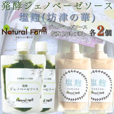 ふるさと納税 枕崎市 発酵ジェノベーゼソース&amp;塩麹　各2パックセット A8-114