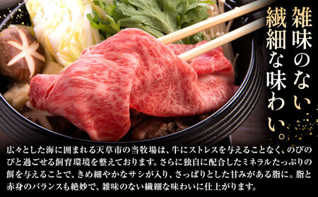 【3ヶ月定期便】黒毛和牛 A5 ロース すき焼き 切り落とし 500g × 3回 計1.5kg すき焼きのたれ 1本付 株式会社田中畜産 《お申込みの翌月から出荷いたします》熊本県 苓北町 肉 にく 