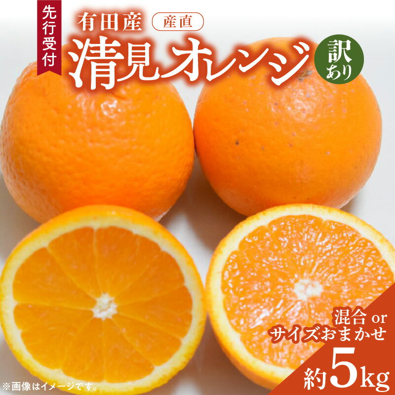 【ふるさと納税】2026年 先行予約 訳あり 有田産 清見 オレンジ 約5kg 家庭用 サイズおまかせ 混合 トロける 果肉 ジューシー 温州みかん 甘さ 柔らかい ビタミン 食物繊維 豊富 柑橘 みかん 果物 果実 デザート 産直 お取り寄せ 和歌山県 湯浅町 送料無料
