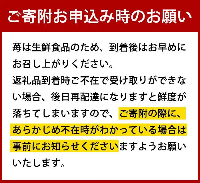 ＜先行予約受付中！2026年12月～2027年2月発送予定＞ うるう農園の あまおう MLサイズ (計約640g・約160g×4P) 苺 いちご イチゴ 果物 フルーツ 国産 福岡県 ヨーグルト ジャ
