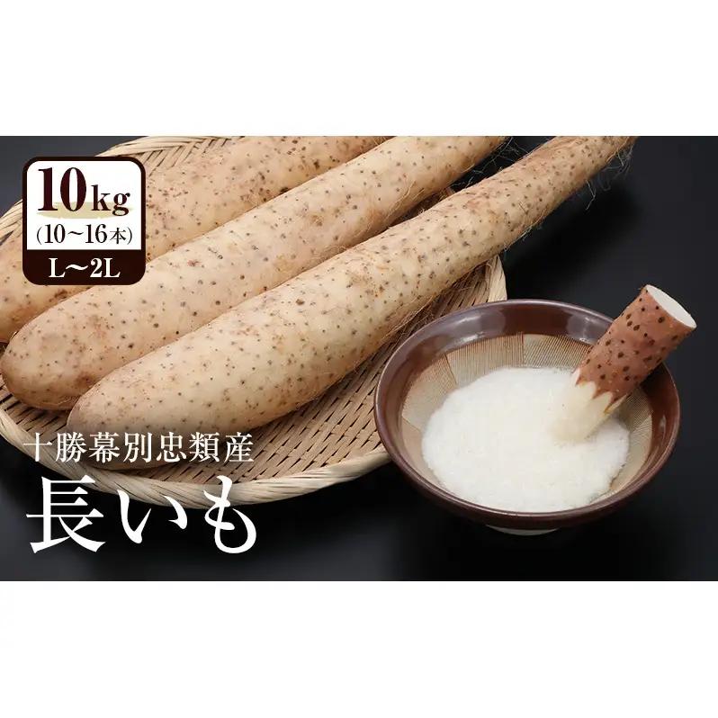 先行予約 忠類長いも 10kg（10～16本）L～2L 長いも