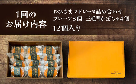 【全6回定期便】おひさまマドレーヌ12個詰め合わせ (おひさまマドレーヌ8個 三毛門かぼちゃマドレーヌ4個)《豊前市》【菓子工房ルクール】 お菓子 菓子 詰め合わせ 洋菓子[VBI016] 菓子 お菓