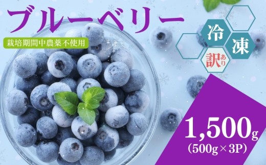【訳あり】冷凍ブルーベリー　1500g（500g×3パック）2026年シルクファーム産