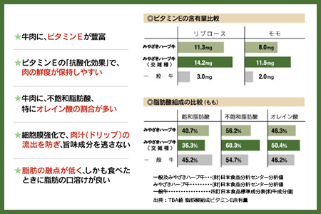 ＜みやざきハーブ牛 手ごねハンバーグ「生」（140g×10個）＞入金確認後、翌月末迄に順次出荷【TVで話題沸騰！】【c458_fw_x4】