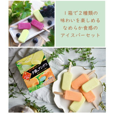 【ふるさと納税】ぶどうの季節・メロンの季節　アイスバー食べ比べセット　各3箱【配送不可地域：離島】【1432316】