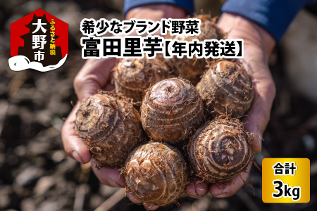 【先行予約】希少！とみた里芋 3kg ねっとりまろやか煮崩れなし！【11月～年内出荷】 