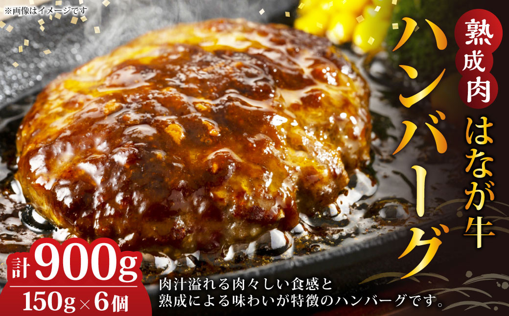 熟成肉 はなが牛ハンバーグ 計900g （150g×6個）牛肉 肉 惣菜 おかず 個包装 小分け 冷凍 愛媛県（621）