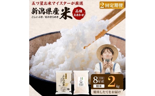 
                  【先行予約】R8年産 新潟県産 品種おまかせ  2kg 2か月定期便 新潟県 新潟市産 令和8年産 お米 精米 米 ご飯 送料無料
                