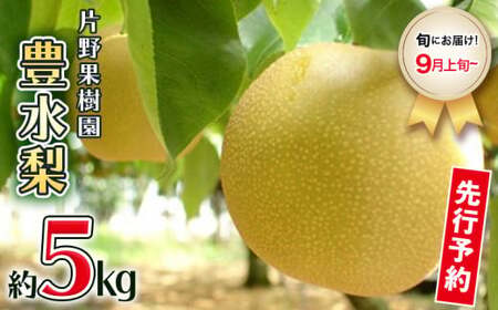 豊水梨 約5kg 9月上旬発送 梨 梨 梨 梨 梨 梨 梨