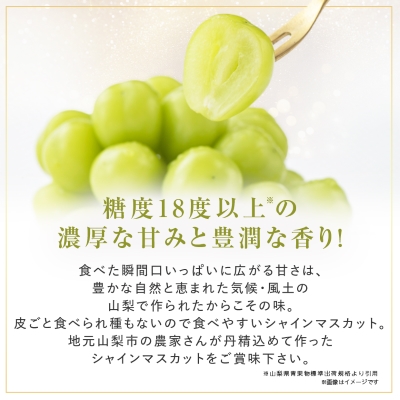 大人気!シャインマスカット秀 1.2kg(2～3房)【配送不可地域：離島】