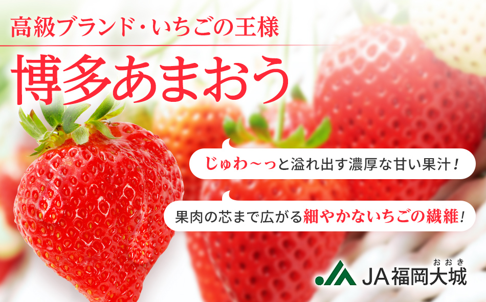 【アフター保証】博多あまおう 福岡県JAグループのブランド あまおういちご 1080g（約270g×4パック）JA福岡大城【2026年2月中旬から順次発送】AG010