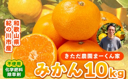 まーくん家のみかん 10kg 《11月中旬-12月中旬頃出荷》　みかんみかんみかんみかんみかん