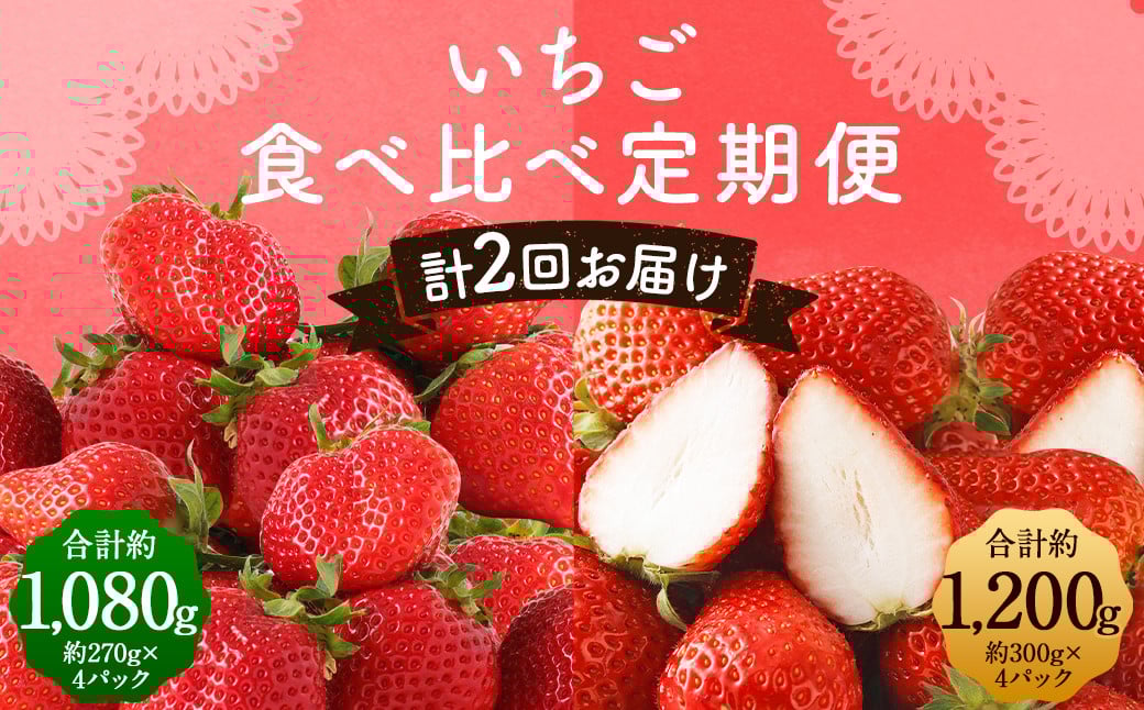 
            【全2回定期便】数量限定 フルーツ定期便 いちご 2品種 食べ比べ （ あまおう ・ かおり野 ） 合計約2.28kg 【2026年1月下旬から3月下旬まで順次発送予定】
          