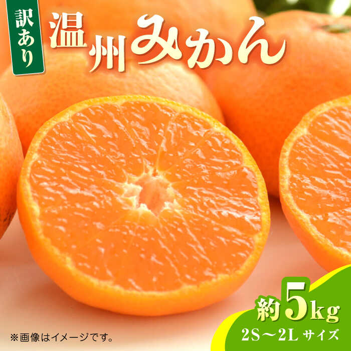 【ふるさと納税】【先行予約】温州みかん約5kg　2S〜2Lサイズ　【くまふる】[ZBG051]