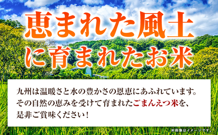 米 訳あり 無洗米 ごまんえつ米 【24ヶ月定期】 10kg 米 こめ 家庭用 備蓄 熊本県 長洲町 くまもと 返礼品 ブレンド米 送料無料 国内産 熊本県産 訳あり 配送 《お申込み翌月から出荷》