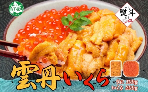 【年内配送 12月14日まで受付】3595.  無地熨斗 うに 100g いくら醤油漬け 200g ウニ チリ産 冷凍 いくら 二色丼 雲丹 イクラ 海鮮 海鮮丼 うに丼 いくら丼 いくら醤油漬け のし 名入れ不可 送料無料 北海道 弟子屈町
