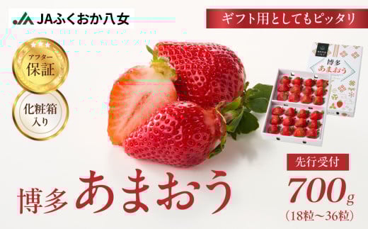 先行受付【2025年12月発送開始】博多あまおう700g（化粧箱）｜ＪＡふくおか八女 あまおう いちご 苺 イチゴ フルーツ 果物 くだもの 人気  旬 福岡県産 アフター補償 ギフト 化粧箱入り 贈答品 プレゼント 贈り物 数量限定 期間限定 産地直送 デラックス 福岡県 八女市