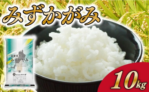 みずかがみ 10kg 白米