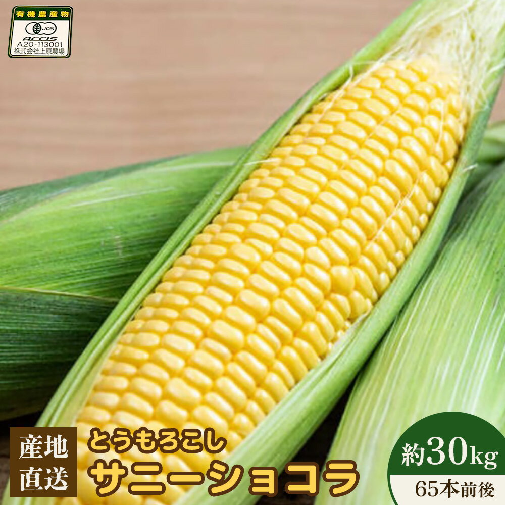 【ふるさと納税】【先行予約】上原農場直送 有機栽培とうもろこし (サニーショコラ) 約30kg 約65本前後 | 北海道 中標津 とうもろこし とうきび 野菜 夏野菜 夏 産地直送 新鮮 採れたて 朝採れ お取り寄せ ワンストップ マイページ 上原農場 中標津町【66021】