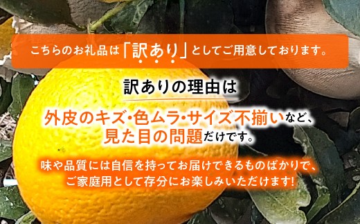 【先行受付】◆愛媛みかん西宇和益田農園より直送～　「清見オレンジ」爽やかな甘さが魅力！！　５kｇ【103-4】 果物 くだもの 清見 清見オレンジ きよみ みかん ミカン 蜜柑 柑橘 フルーツ 選べる