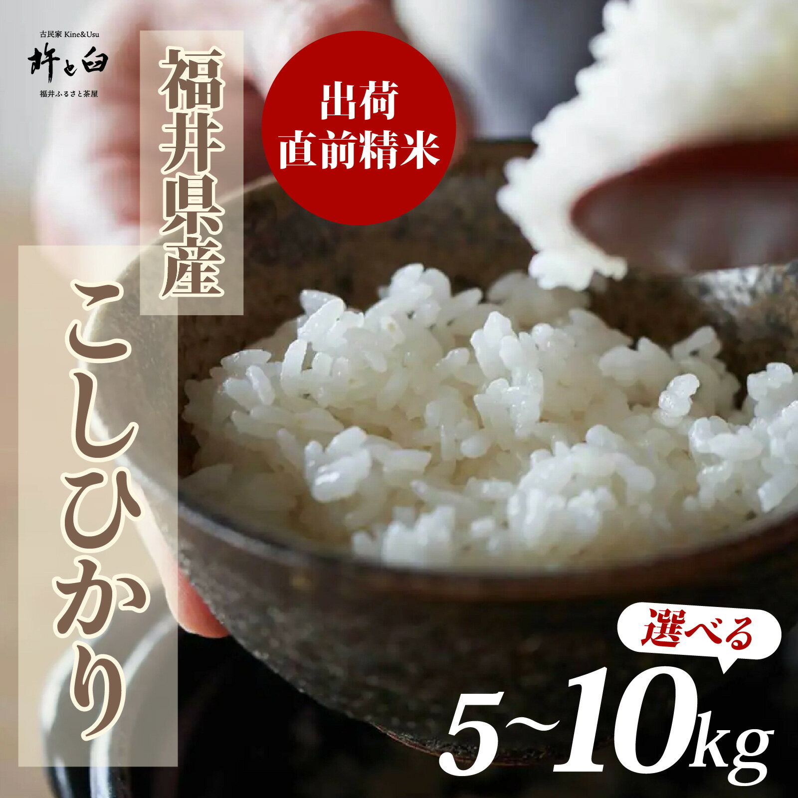 【ふるさと納税】令和7年産 福井県産 こしひかり 選べる容量 5kg 10kg [A-150003] / 新米 精米 米 お米 コメ コシヒカリ 令和七年 7年 七年 産地直送 農家直送
