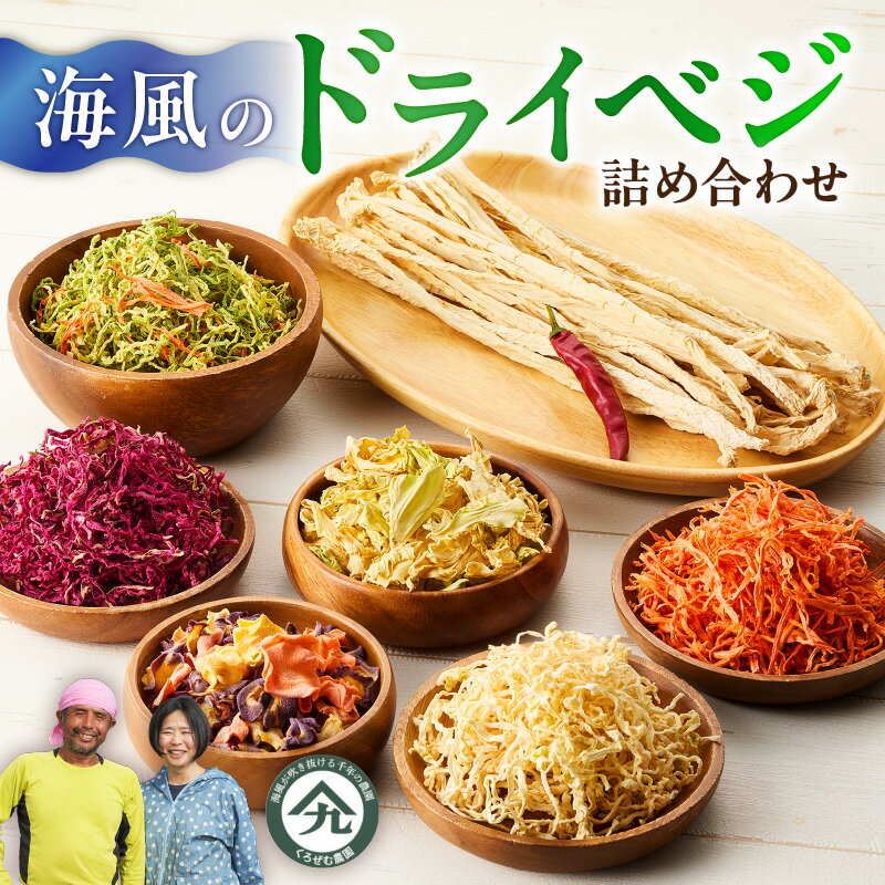 【ふるさと納税】 海風のドライベジ 詰合わせ 乾燥 野菜 ドライ ベジタブル 大根 にんじん キャベツ 切り干し 食物繊維 常備菜 万能 手軽 食べ応え 詰め合わせ 詰合せ セット 国産 保存食 くろぜむ農園 神奈川県 三浦市 ランキング プレゼント ギフト