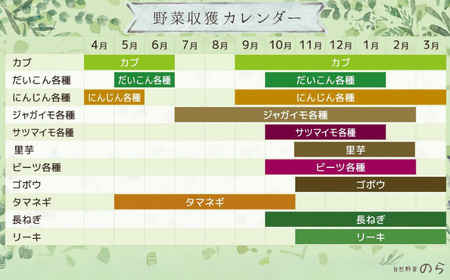 【毎月定期便3回】季節の野菜セット (8~10種)