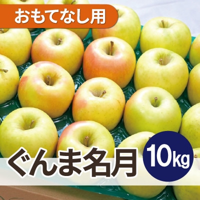 【25年12月出荷予定】平均糖度13度以上! ぐんま名月 約10kg おもてなし用【配送不可地域：離島・沖縄】【1668011】