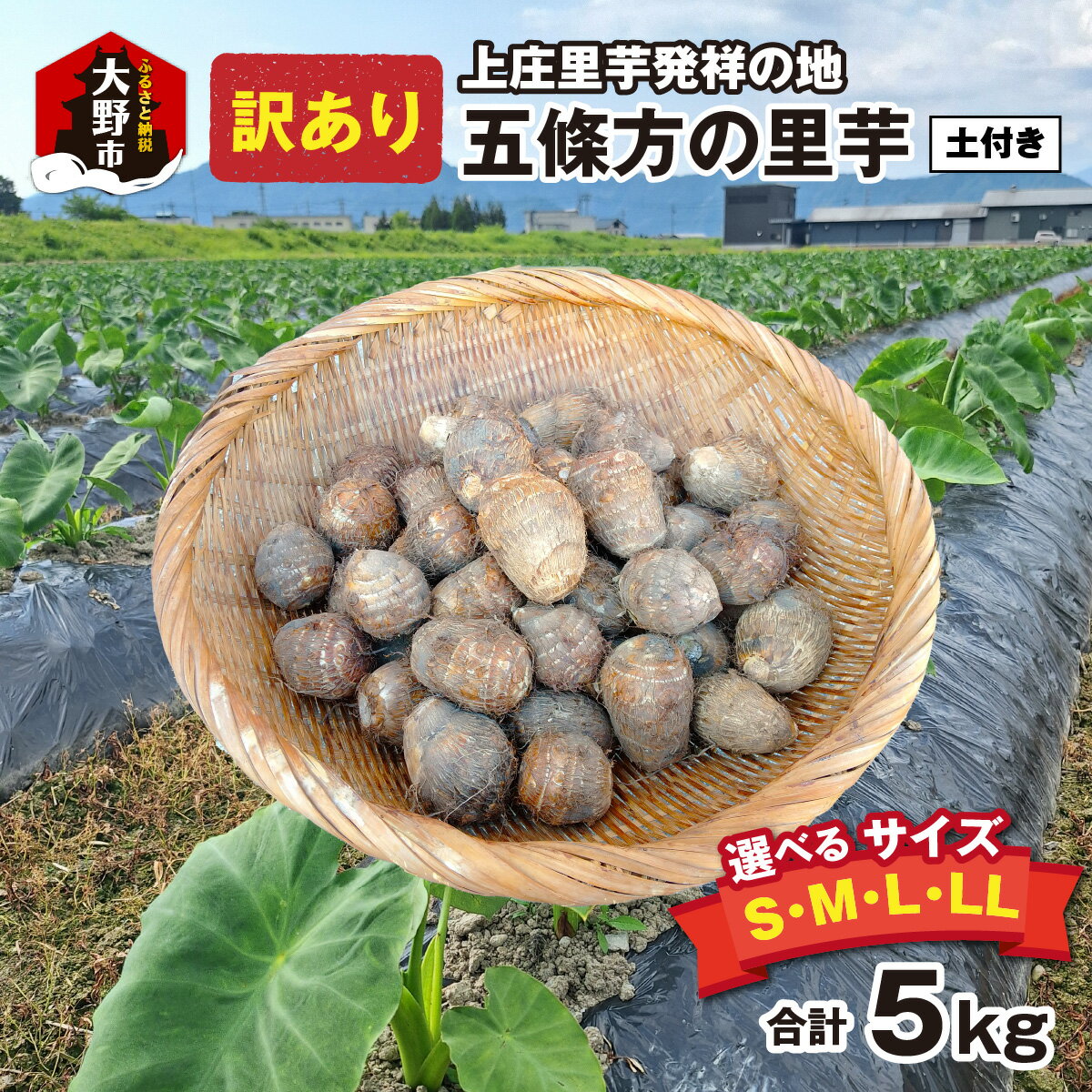 【ふるさと納税】【先行予約】【訳あり】【年内発送】 上庄里芋発祥の地 五條方「農仁産業」の里芋土付（秀・優）混合5kg 選べるサイズ｜五條方 若手農家 若手生産者