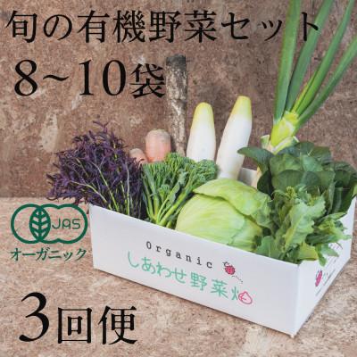 ふるさと納税 掛川市 【毎月定期便】しあわせ野菜畑の有機野菜　Mセット　(安心の有機JAS認証　オーガニック野菜)全3回