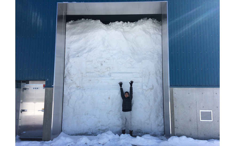 雪室貯蔵米 にじのきらめき、ミルキークィーン、新之助 食べ比べ