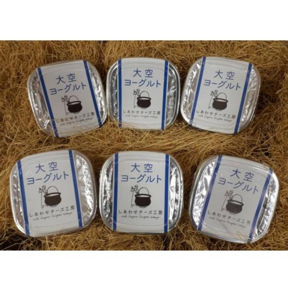 【ふるさと納税】 大空ヨーグルト 400g × 6個 《足寄町》【NPO法人あしょろ観光協会】 ヨーグルト よーぐると 乳製品 牛乳 乳酸菌 免疫力 北海道 北海道産 道産 国産 北海道ヨーグルト 美味しい おいしい 高評価 おすすめ オススメ ギフト プレゼント 手土産 [BEAE005]