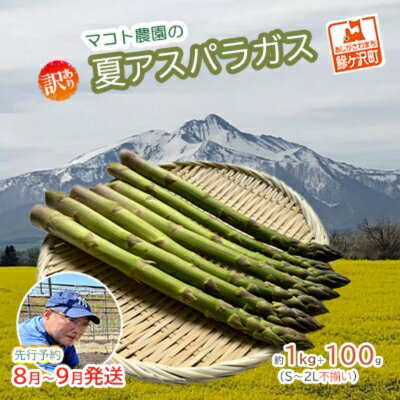 【ふるさと納税】アスパラガス 先行予約 夏アスパラガス 約1kg+100g 約40本前後 S～2L 訳あり 不揃い マコト農園 規格外 アスパラ グリーンアスパラ 野菜 旬 旬の野菜 産地直送 2026年 2026 予約 冷蔵配送 8月～9月発送　お届け：2026年8月1日～2026年9月10日