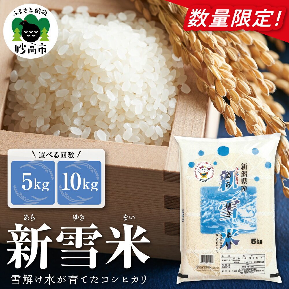 【ふるさと納税】令和7年産 米 新雪米 ( あらゆきまい ) 量が選べる 5kg 10kg コシヒカリ 新潟 上越 妙高 2025年産 白米 精米 お取り寄せ おすすめ 送料無料 新潟県 妙高市