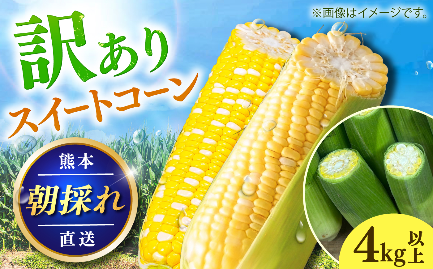 【先行予約】【2027年6月上旬より順次発送】【訳あり】スイートコーン(品種問わず) 4kg以上(10～20本) / 甘々娘 ドルチェドリーム プレミアム味来 熊本県 菊陽町【なかむら農園】 [BHCJ005]