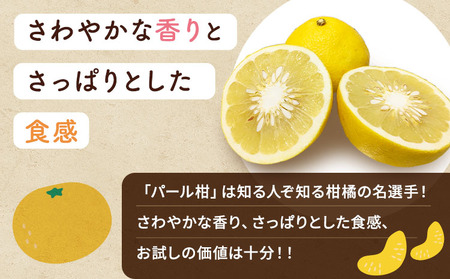 【先行予約】熊本県宇城市産 パール柑 約10kg 【2026年2月上旬から4月中旬発送予定】文旦 柑橘 フルーツ 果物 果実 みかん 蜜柑 ミカン