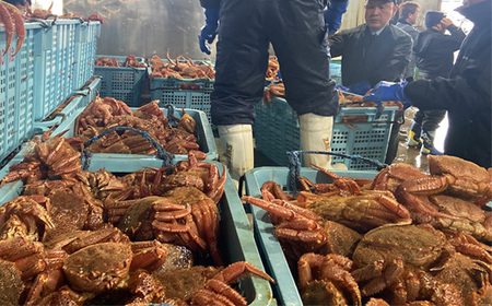 北海道オホーツク海産 訳あり　朝ゆで毛ガニ　2kg（冷凍）【07129】