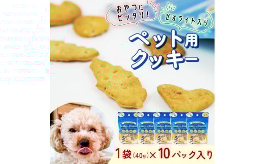 ビスケット 40g×10p 国産 ペットフード おやつ 小分け ペット 犬 いぬ イヌ ドッグ 間食 無添加 米粉 はちみつ ハチミツ 蜂蜜 アジ あじ 鯵 ご褒美 動物 オヤツ 犬用 静岡県 沼津市