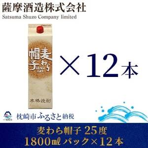 【熟成麦焼酎】「麦わら帽子」25度 1800ml パック 12本セット G5-3【1166646】