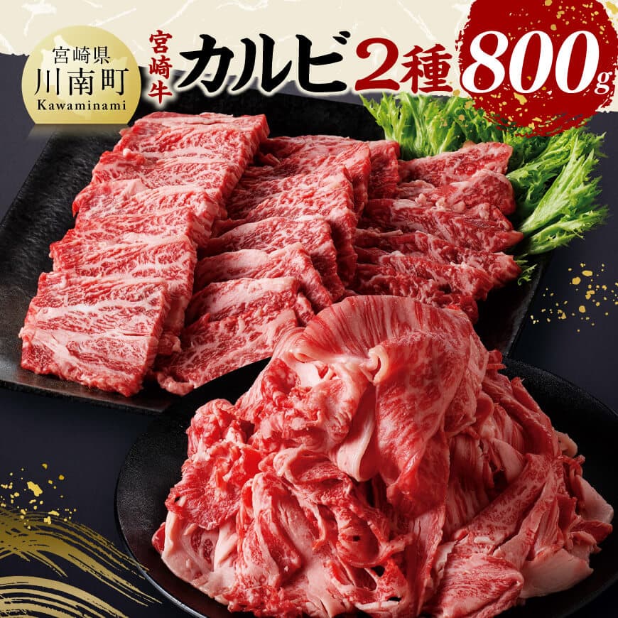 【ふるさと納税】宮崎牛カルビ焼肉・切り落としセット合計800g - 肉 牛肉 国産 黒毛和牛 宮崎牛 焼肉 宮崎県 川南町 D11405