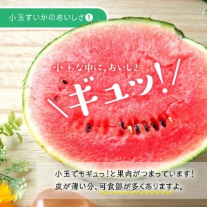 SA2925　酒田の果物専門店厳選　庄内産 小玉すいか　約3kg(2玉入)