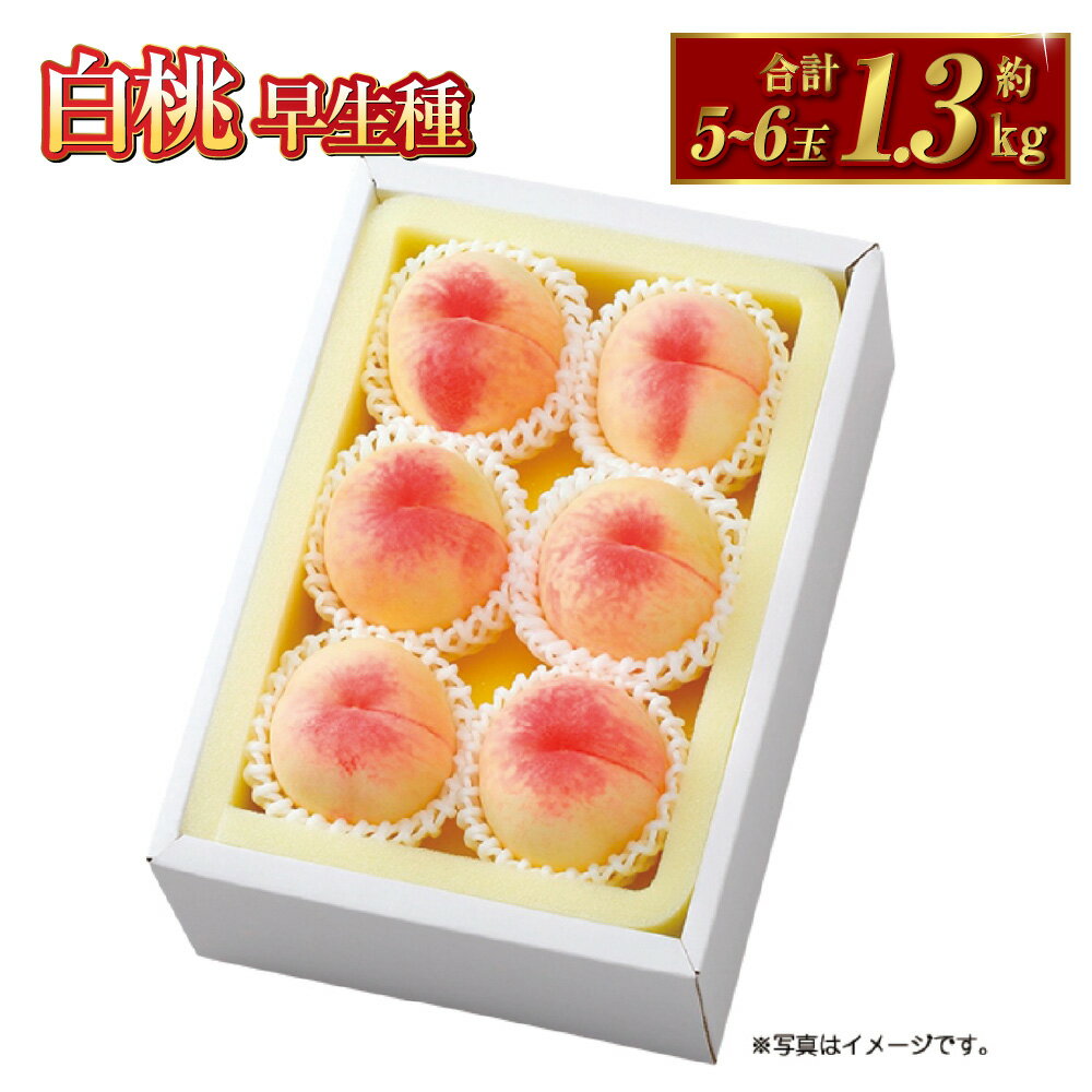 【ふるさと納税】桃 2025年 先行予約 白桃 早生種 約1.3kg 5～6玉 もも モモ 岡山県産 国産 フルーツ 果物 ギフト 果物 デザート スイーツ フルーツ 果肉 美味しい 甘い 柔らかい 上品 【2025年7月上旬～7月下旬 発送予定】