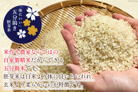 大わらじの里 宮谷 山のお米 五分搗き胚芽米 3kg [宮谷営農組合瑞穂ファーム 高知県 津野町 26aq0007] 五分搗き 五分づき 胚芽米 食物繊維