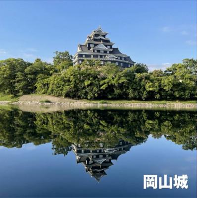 ふるさと納税 岡山市 【令和7年産】岡山県産 きぬむすめ 精米 5kg(5kg×1袋)　 |  | 03