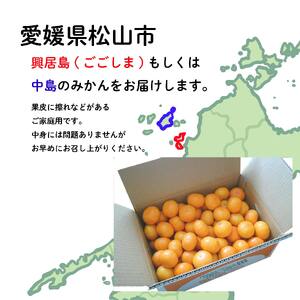 【2026年11月中旬から順次発送】甘こく愛媛みかん 瀬戸内の太陽と潮風で育ったご家庭用 3kg | 蜜柑 みかん 愛媛 松山 フルーツ 果物 くだもの 数量限定 期間限定 送料無料【SHM0101】