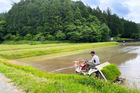 【令和5年産】農薬・化学肥料不使用　オータニ農業の『いのちの壱』玄米10kg