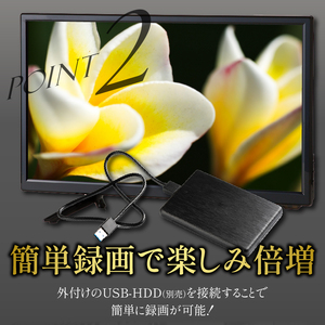 テレビ 19V型 ハイビジョン 液晶テレビ 家電 ダイコーアペックス (AP1910BJMK3)  壁掛けテレビ 置き型テレビ 国産テレビ 19V型テレビ