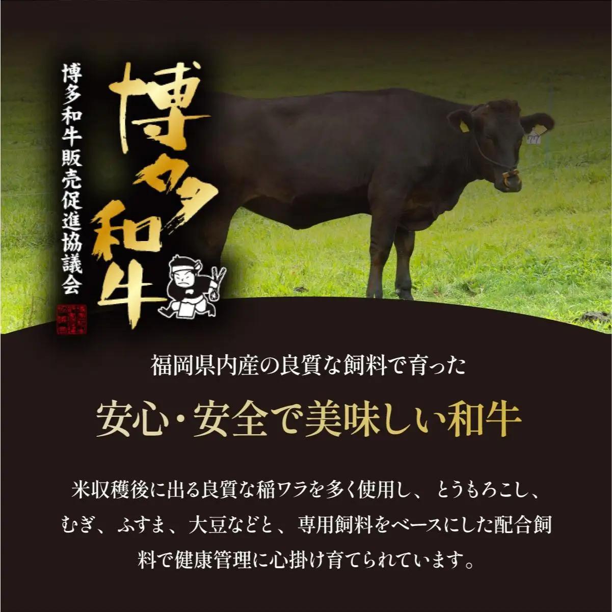 寄附額改定↓ ＜定期便・全10回＞博多和牛 ヒレ シャトーブリアン（ダイヤモンドカット） 200g×1枚【久田精肉店】|ヒレステーキ ステーキ 赤身 ヒレ ヒレ肉 フィレ ヘレ 牛肉 黒毛和牛 国産 