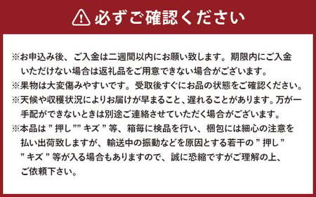 【3回定期便】岡山県産 シャインマスカット 晴王 計2房 （1房600g以上） 【2026年8月下旬発送開始】 ／ 3回 マスカット 葡萄 ぶどう 果物 果実 フルーツ 定期便 岡山県 美咲町 冷蔵